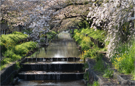 Kawagoe Scene 4